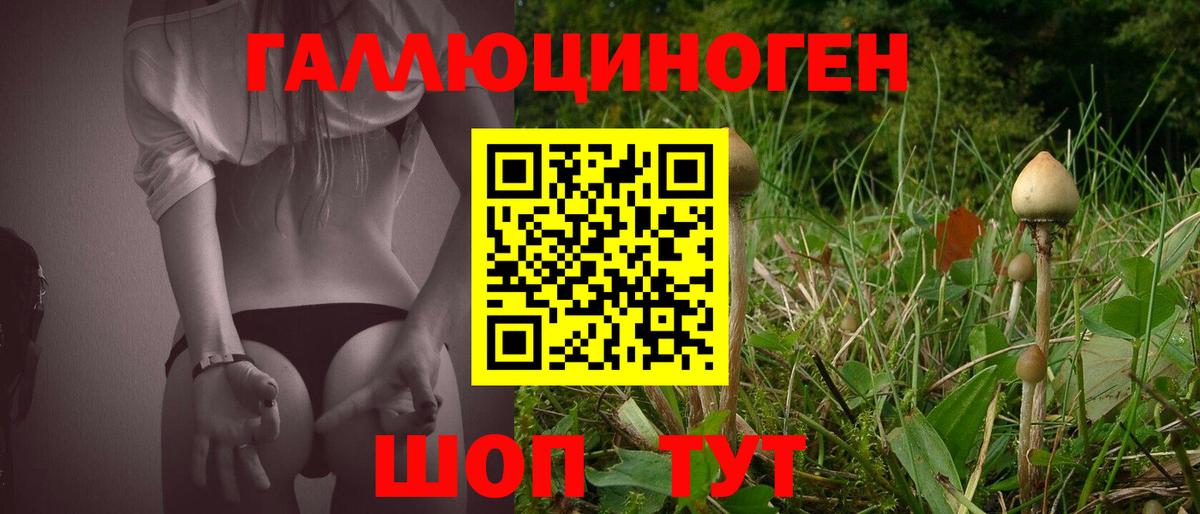 Псилоцибиновые грибы Cubensis  Галлюциногенные грибы мухоморы  Вход с VPN  Сегежа 