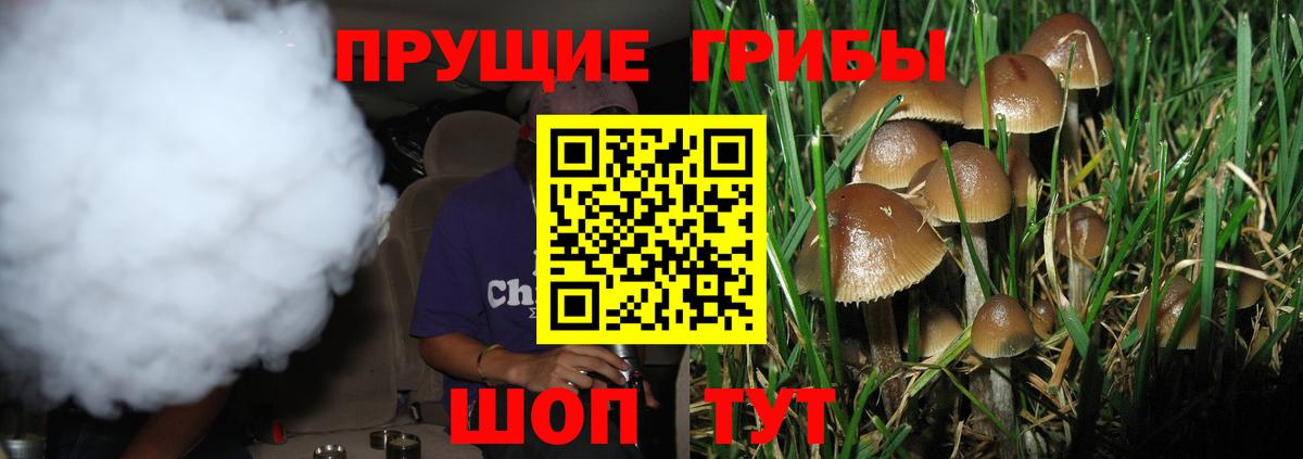 Галлюциногенные грибы прущие грибы Сегежа